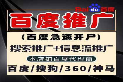 整合SEO与SEM，打造品牌营销新模式——案例研究